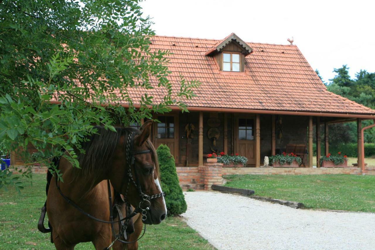 Old Oak House With Pool Villa Marusevec Exterior photo